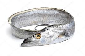 Dry Ribbon fish / Savadalu